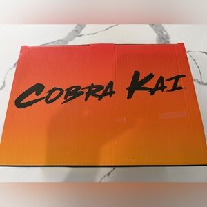 Cobra Kai and Miyagi Do Ramen Bowls